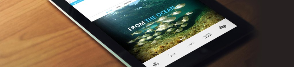 We've Launched Our Blog!