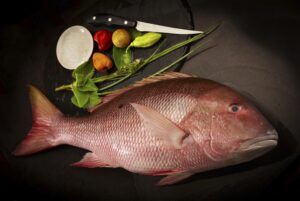 Snapper Whole Gutted Gilled & Scaled