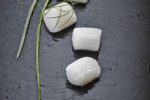 Sea Scallops