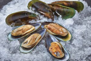 Green Mussels