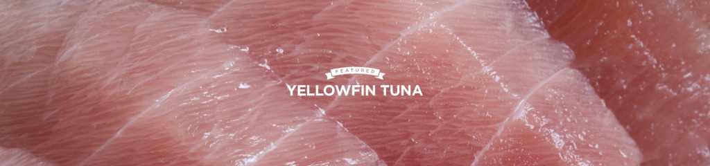 Tuna Facts - get clued up