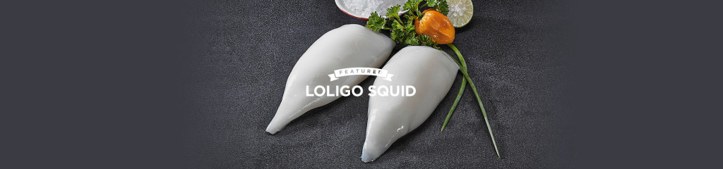 Lent: Loligo Squid