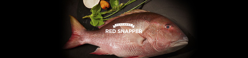 Featured: Red Snapper