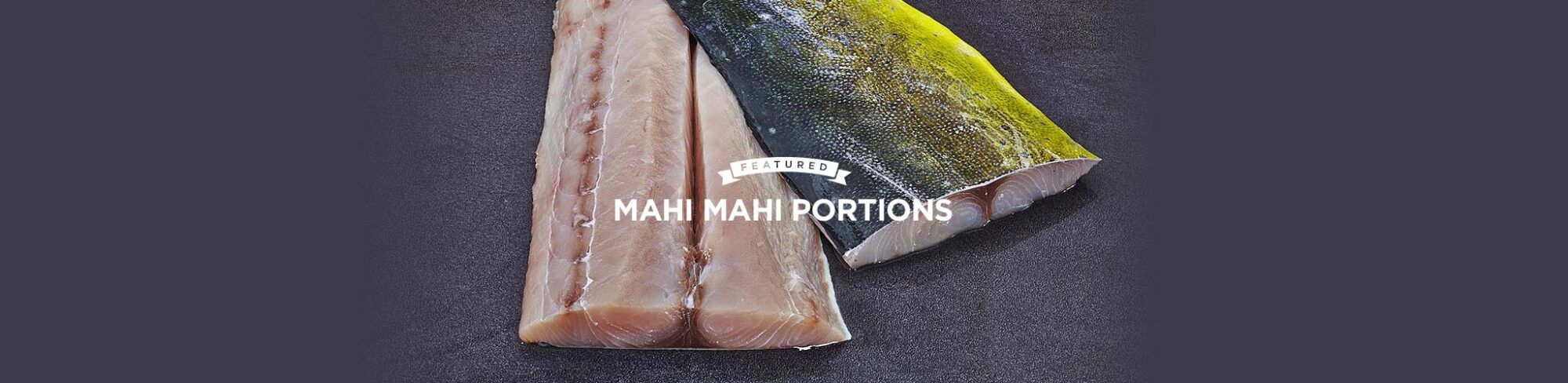 Mahi-Mahi Fish