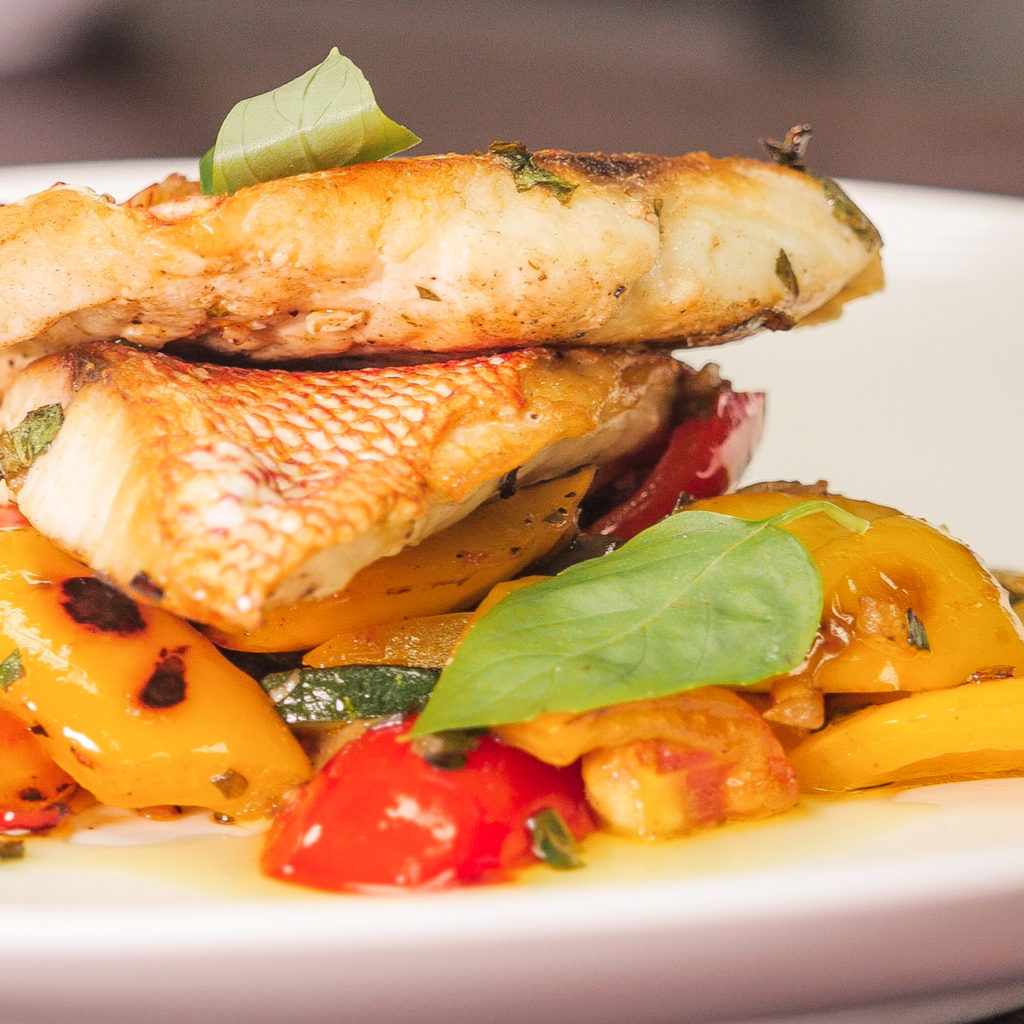 Pan Seared Snapper with Ratatouille