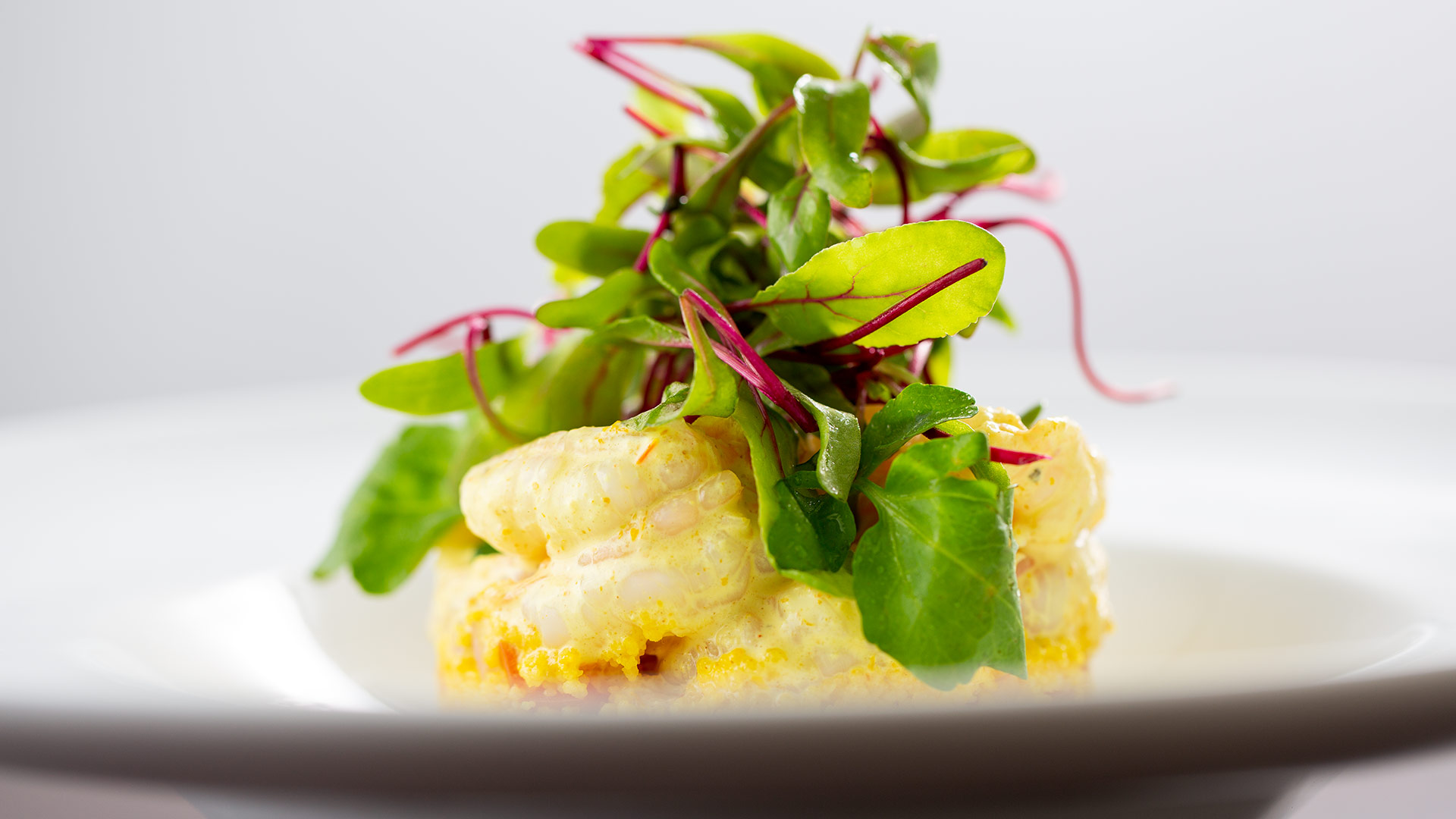 Poached Shrimp with Curry Mayo, Saffron Couscous Salad & Micro Greens